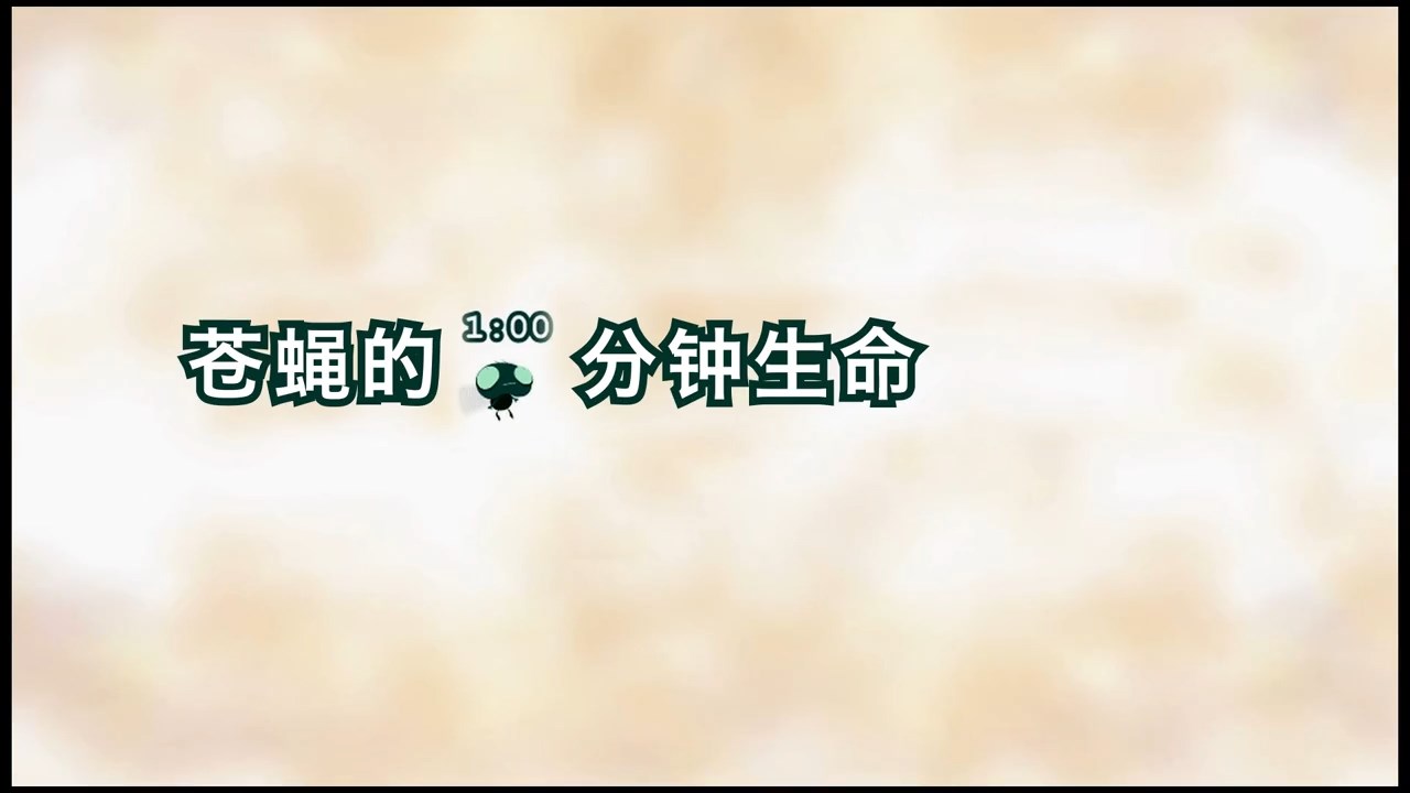 看完沉默了！蒼蠅的 60 秒，道盡了生命的珍貴與力量
